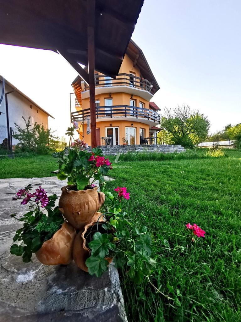 Casa Tamara Hotel Bran  Buitenkant foto
